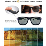 7 Gears Color Changed Shades